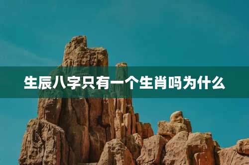 生辰八字只有一个生肖吗为什么