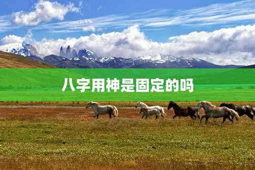 八字用神是固定的吗