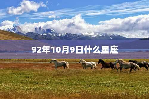 92年10月9日什么星座