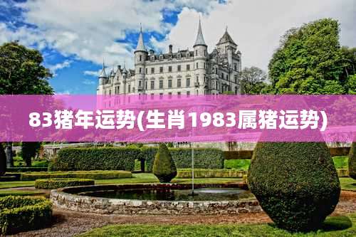 83猪年运势(生肖1983属猪运势)