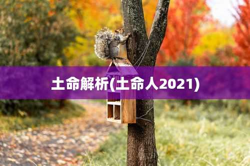 土命解析(土命人2021)