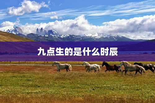 九点生的是什么时辰