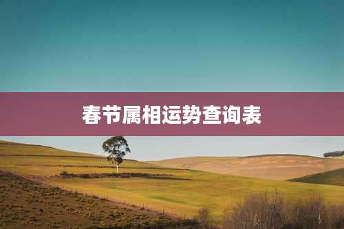 春节属相运势查询表