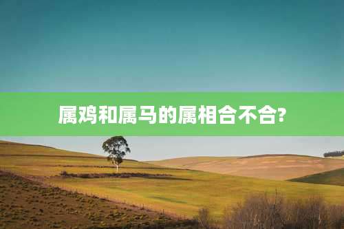 属鸡和属马的属相合不合?