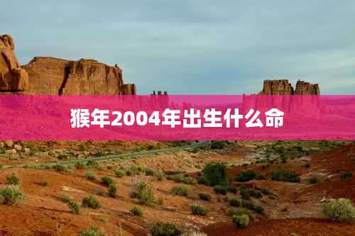猴年2004年出生什么命