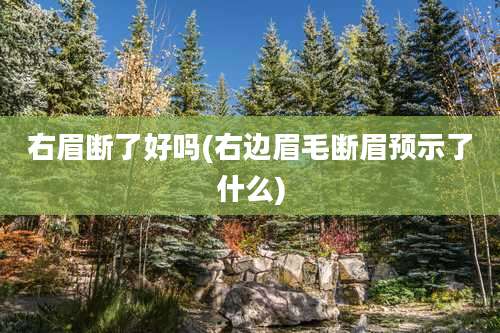 右眉断了好吗(右边眉毛断眉预示了什么)