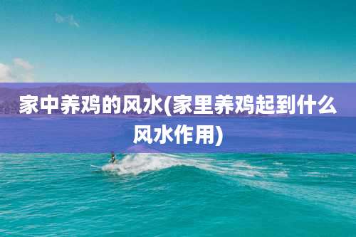 家中养鸡的风水(家里养鸡起到什么风水作用)