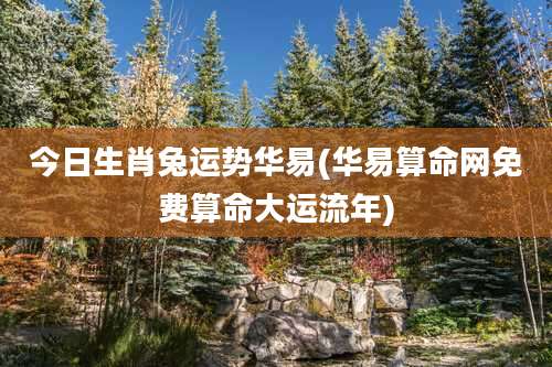 今日生肖兔运势华易(华易算命网免费算命大运流年)