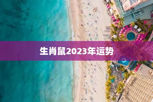 生肖鼠2023年运势