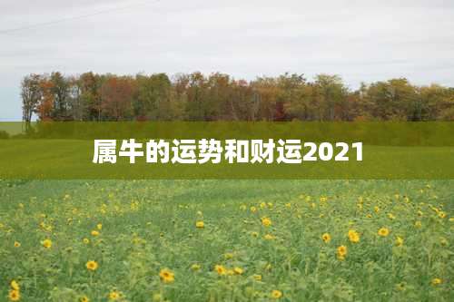 属牛的运势和财运2021