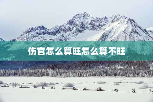 伤官怎么算旺怎么算不旺