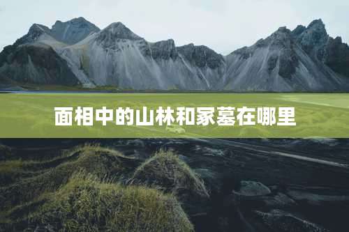 面相中的山林和冢墓在哪里