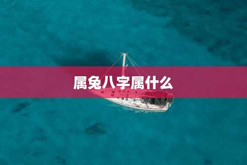 属兔八字属什么