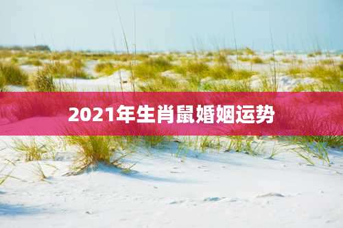 2021年生肖鼠婚姻运势