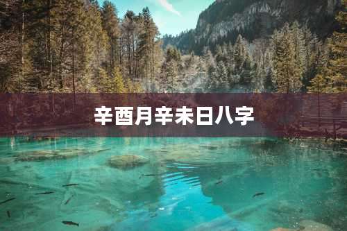 辛酉月辛未日八字