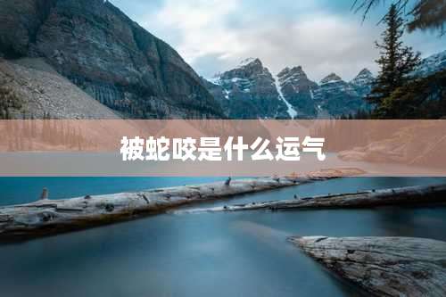 被蛇咬是什么运气