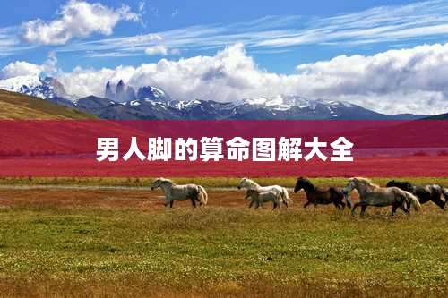 男人脚的算命图解大全