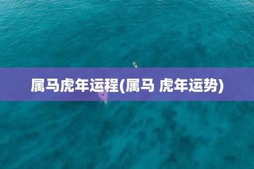 属马虎年运程(属马 虎年运势)