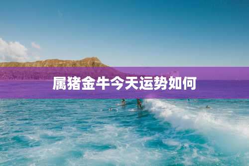 属猪金牛今天运势如何