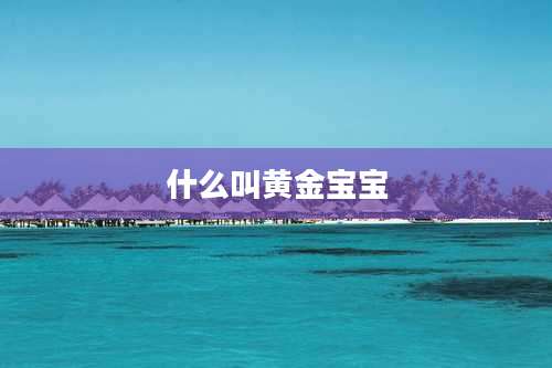 什么叫黄金宝宝