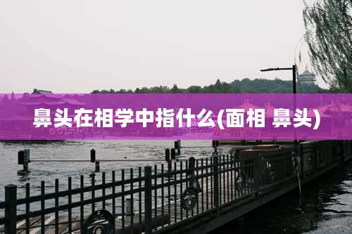 鼻头在相学中指什么(面相 鼻头)