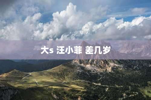 大s 汪小菲 差几岁