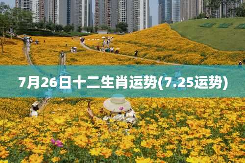 7月26日十二生肖运势(7.25运势)