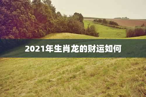 2021年生肖龙的财运如何