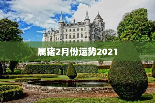 属猪2月份运势2021