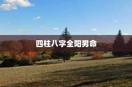 四柱八字全阳男命