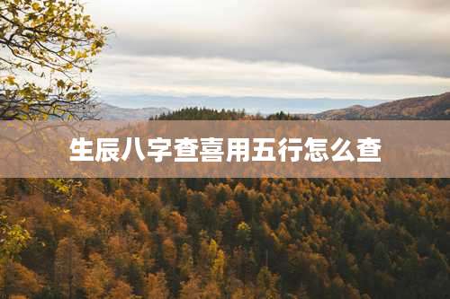 生辰八字查喜用五行怎么查