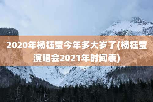 2020年杨钰莹今年多大岁了(杨钰莹演唱会2021年时间表)