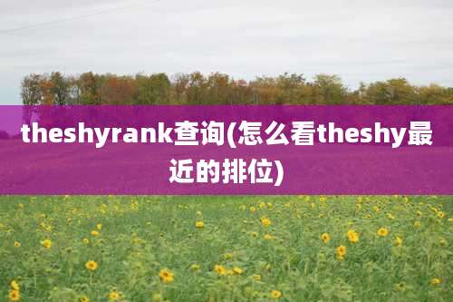 theshyrank查询(怎么看theshy最近的排位)