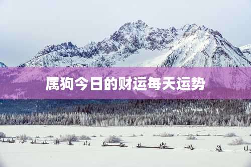 属狗今日的财运每天运势