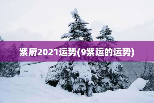 紫府2021运势(9紫运的运势)