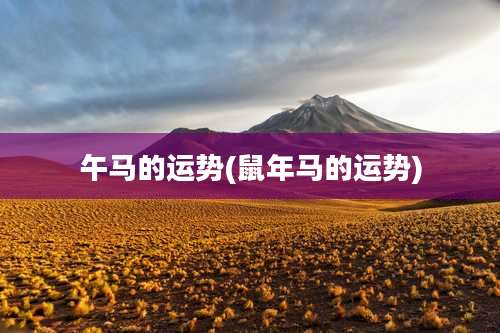 午马的运势(鼠年马的运势)