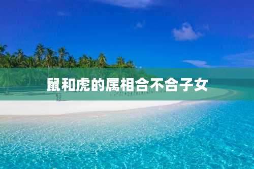 鼠和虎的属相合不合子女