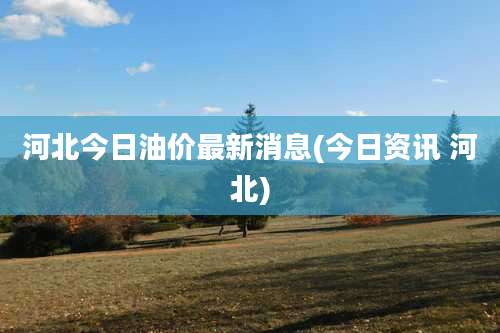 河北今日油价最新消息(今日资讯 河北)