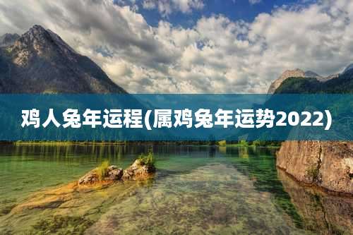 鸡人兔年运程(属鸡兔年运势2022)