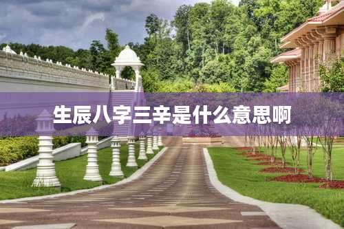 生辰八字三辛是什么意思啊