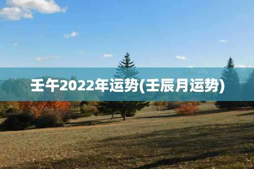 壬午2022年运势(壬辰月运势)