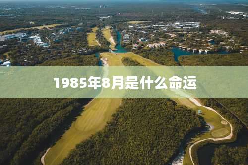 1985年8月是什么命运