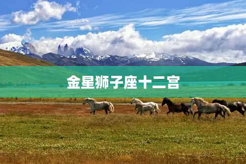 金星狮子座十二宫