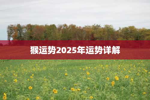 猴运势2025年运势详解