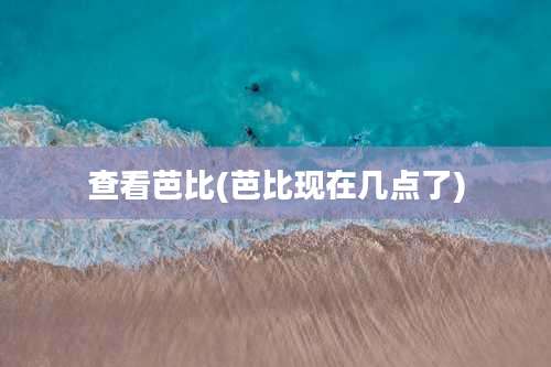 查看芭比(芭比现在几点了)