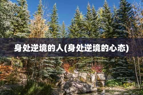 身处逆境的人(身处逆境的心态)