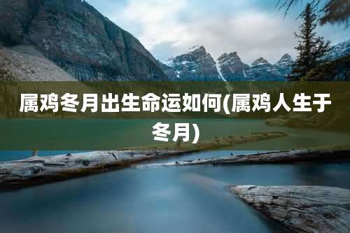 属鸡冬月出生命运如何(属鸡人生于冬月)