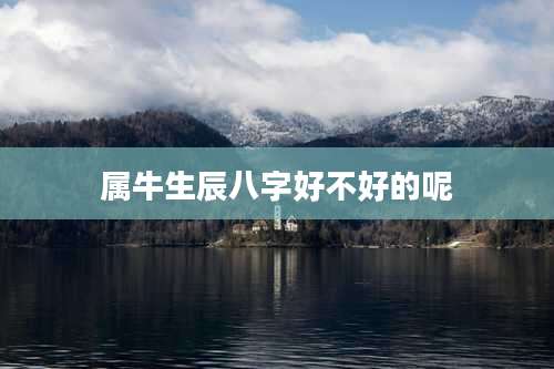 属牛生辰八字好不好的呢