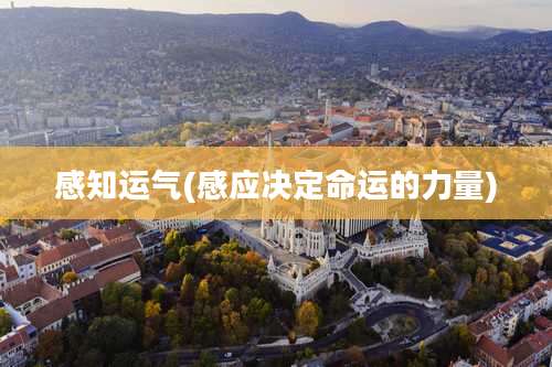 感知运气(感应决定命运的力量)