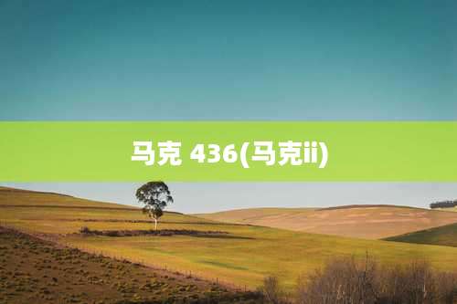 马克 436(马克ii)